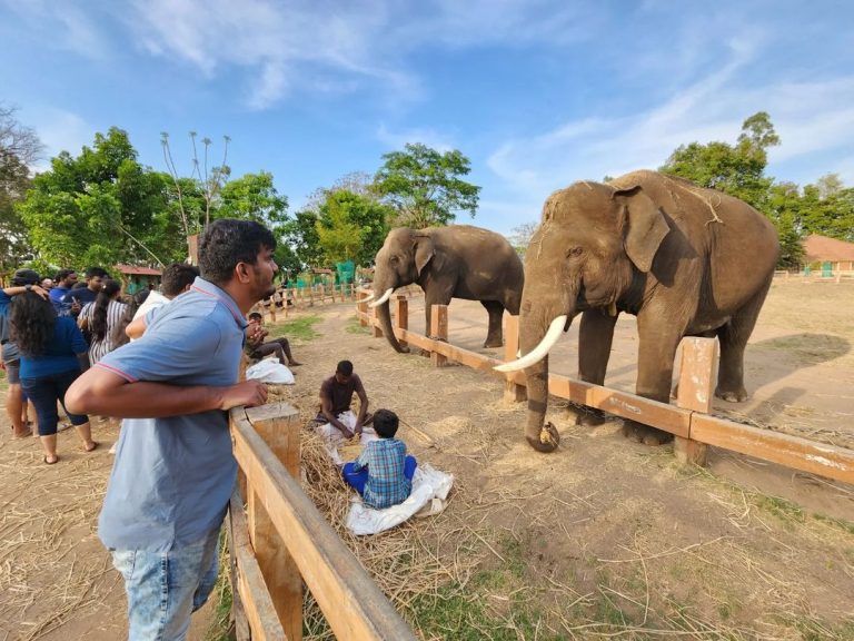 Ride to Coorg (Elephant Sanctuary)